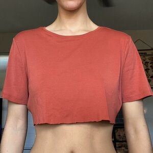 Talbots Terracotta Crop Top